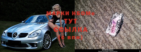 хмурый Алзамай