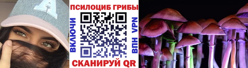 Псилоцибиновые грибы GOLDEN TEACHER  Евпатория 